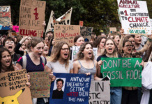 Climate Strike protesters in Wellington 030323