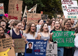 Climate Strike protesters in Wellington 030323