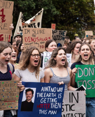 Climate Strike protesters in Wellington 030323