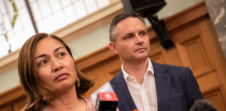 Green Party co-leaders Marama Davidson and James Shaw
