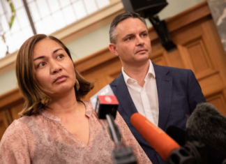Green Party co-leaders Marama Davidson and James Shaw