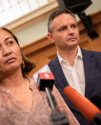 Green Party co-leaders Marama Davidson and James Shaw