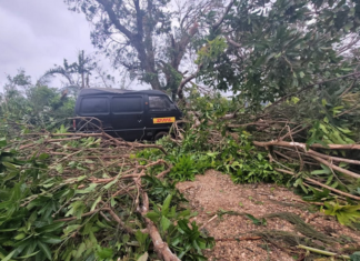 Port Vila-based journalist Dan McGarry has a big clean up on his hands