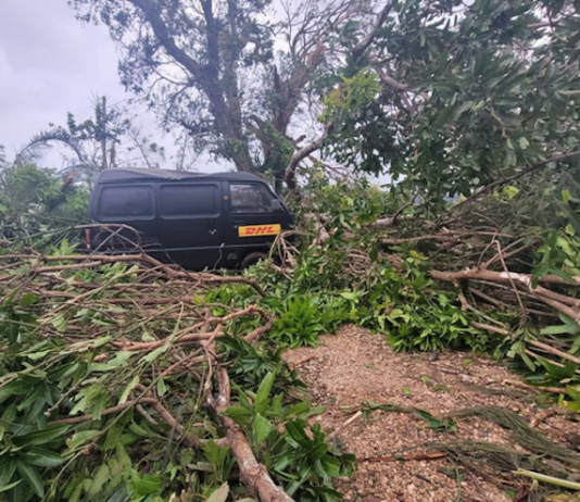 Port Vila-based journalist Dan McGarry has a big clean up on his hands