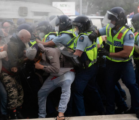 Police and protestors clash at the conclusion of the 2022 occupation at NZ's Parliament grounds