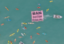 The "ban bottom trawling" flotilla off Mission Bay beach