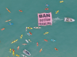 The "ban bottom trawling" flotilla off Mission Bay beach