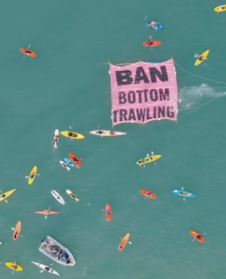 The "ban bottom trawling" flotilla off Mission Bay beach