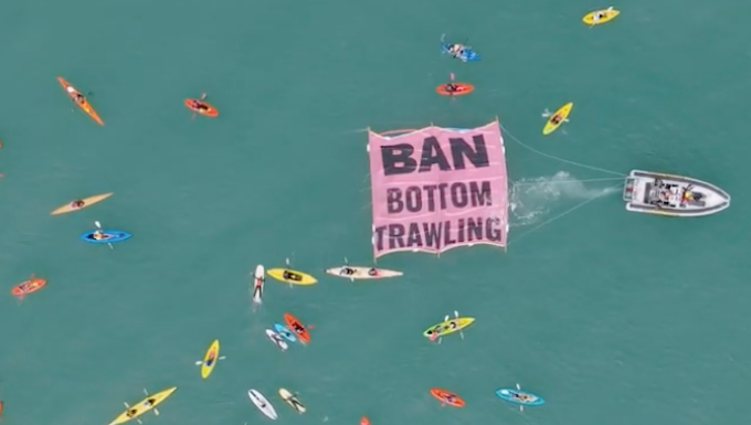 The "ban bottom trawling" flotilla off Mission Bay beach