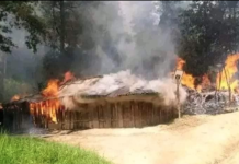 A burning West Papuan honai (traditional house) said to have been set alight by Indonesian troops