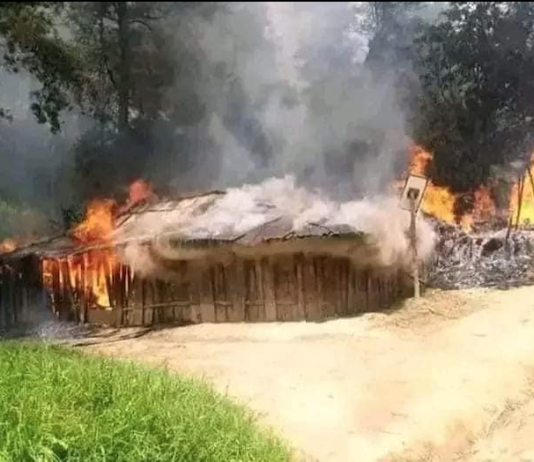 A burning West Papuan honai (traditional house) said to have been set alight by Indonesian troops