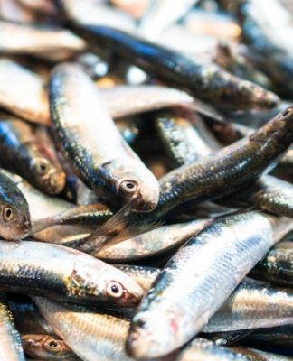 How Fukushima wastewater into Pacific will disrupt seafood trade Fresh fish at a wet market