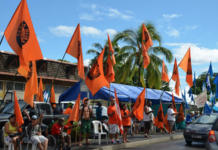 Colourful campaigning for French Polynesian elections