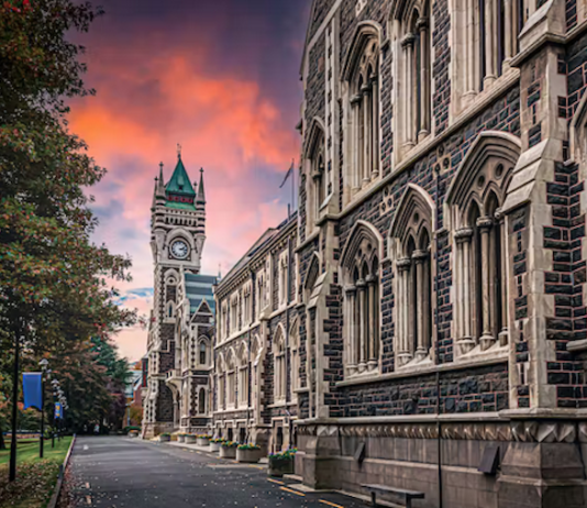 Together with their students and graduates, academics are the university