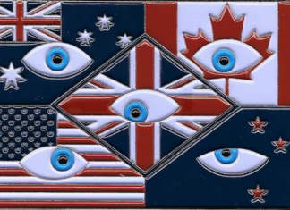 Five Eyes uncovers hacking attack