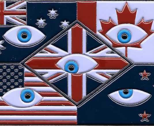 Five Eyes uncovers hacking attack
