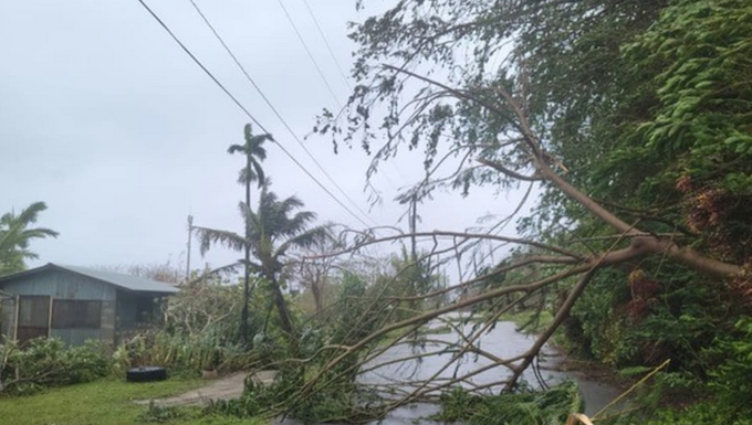 After Mawar, post-typhoon restoration process begins in Guam Uprooted trees on the island of Rota, Northern Marianas
