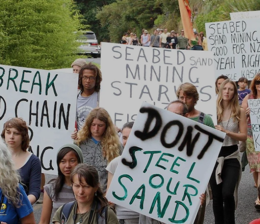 New Zealand seabed mining industry protesters
