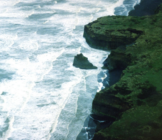 A Te Pāti Māori member's bill to ban deep seabed mining has failed to gain traction