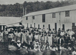 Girmitiyas - Indentured labourers - in Fiji