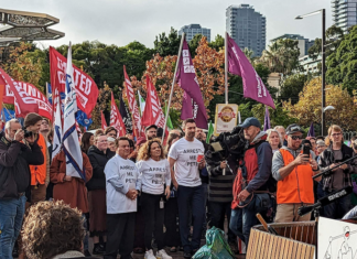 South Australian MPs rally against the draconian new anti-protest law