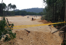 Mangrove forest destruction in the Youtefa Bay Nature Park conservation area