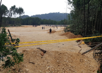 Mangrove forest destruction in the Youtefa Bay Nature Park conservation area