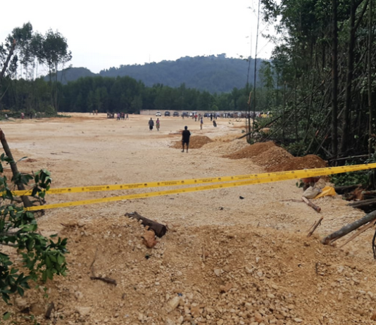 Mangrove forest destruction in the Youtefa Bay Nature Park conservation area