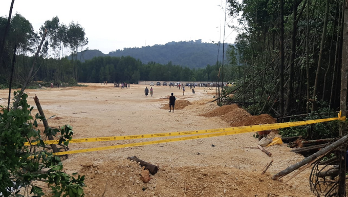 Mangrove forest destruction in the Youtefa Bay Nature Park conservation area