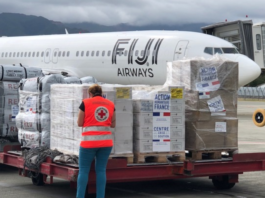 French humanitarian assistance and disaster relief may offer lessons to inform coordination
