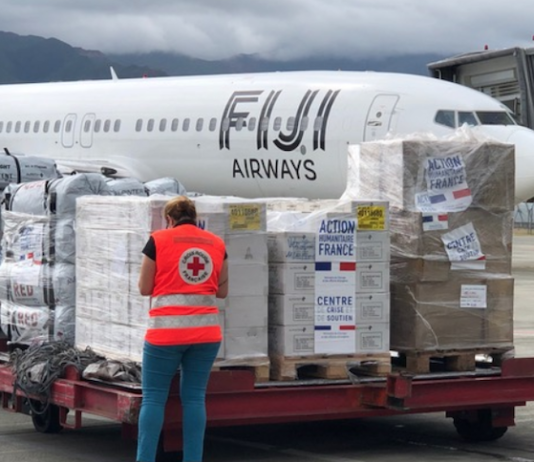 French humanitarian assistance and disaster relief may offer lessons to inform coordination