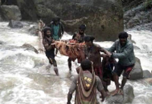 A West Papuan mother, Kapusina Gwijangge, was shot by the Indonesian military in Nduga on 25 March 2019