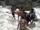 A West Papuan mother, Kapusina Gwijangge, was shot by the Indonesian military in Nduga on 25 March 2019