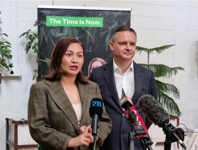 Green Party co-leaders Marama Davidson and James Shaw