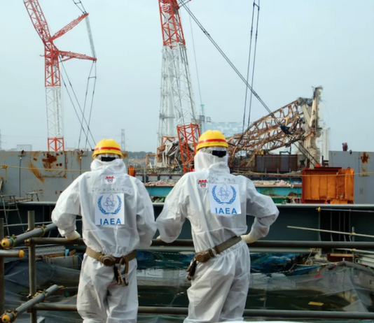 Japan's Fukushima nuclear power plant