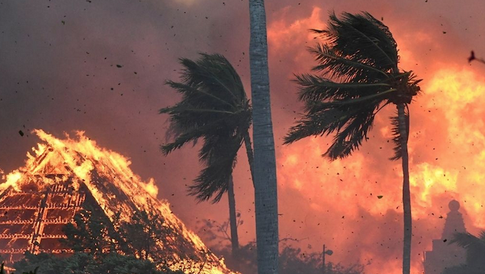 At least 53 people have been killed in the Maui wildfires in Hawai'i