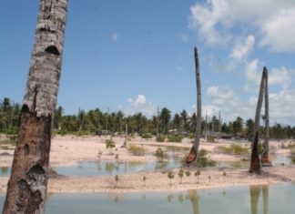 Author Byron Clark Clark believes Pacific nations are “less susceptible to climate change disinformation