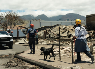 Recovery and humanitarian workers ramp up efforts on Maui island