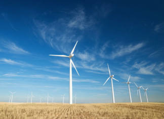 New Zealand's new energy fund initiative underpins the government’s aspirational goal of having 100 percent of electricity generated by renewable sources by 2035