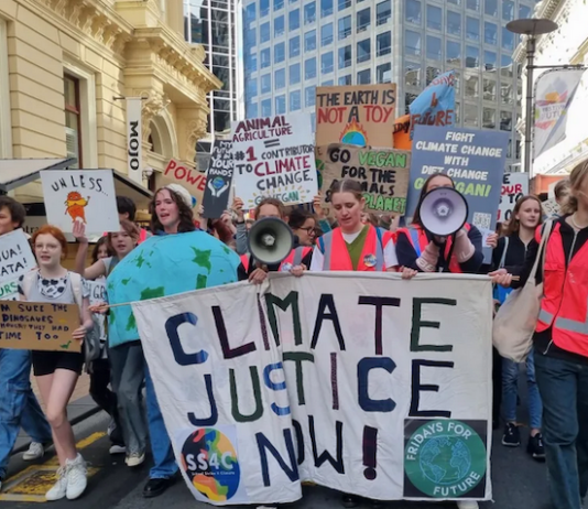 Climate protesters in Wellington in May