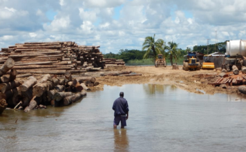 Logging piles on the Sepik River in Papua New Guinea