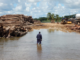 Campaigners call on PNG govt to act over destructive logging Logging piles on the Sepik River in Papua New Guinea