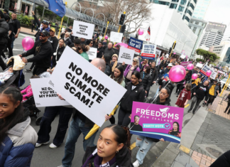 Protesters march to Parliament today in a demonstration organised by a diverse range of New Zealand groups