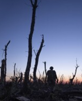 Ukrainian servicemen walk through a charred forest at the frontline