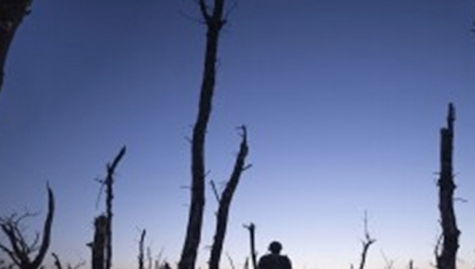 Ukrainian servicemen walk through a charred forest at the frontline