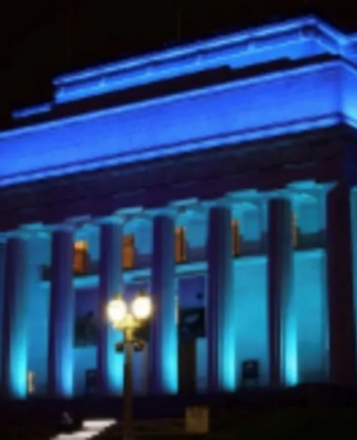 This image representing the Israeli flag colours appeared on Auckland Museum's Facebook and Instagram pages