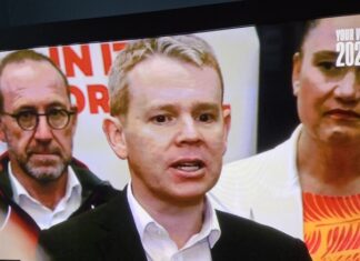 Labour leader Chris Hipkins has shown no sign he is capable of leading the rejuvenation policy the party needs