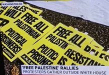 "Free Palestine" protesters have demonstrated outside the White House in Washington