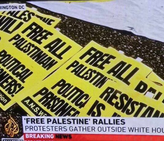 "Free Palestine" protesters have demonstrated outside the White House in Washington