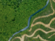 New research argues the priority now should be addressing the real driver of multiple ecological crises